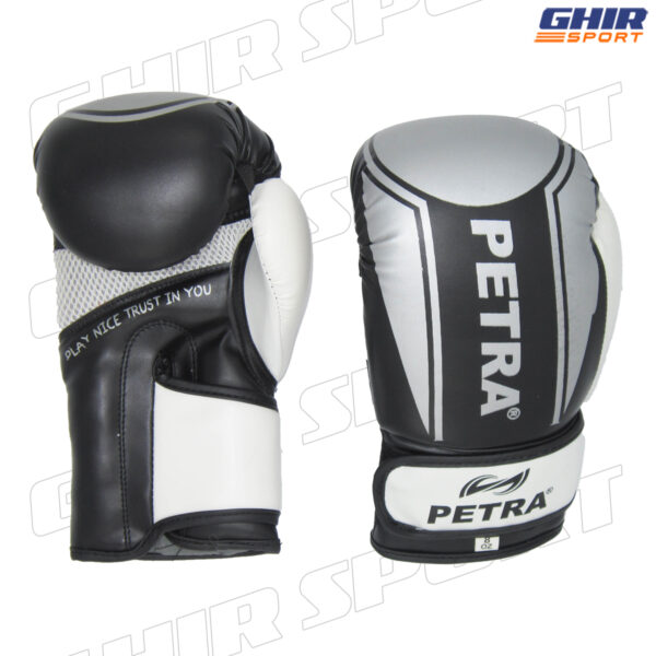 GANTS DE BOXE PETRA PGB-110 – Image 7