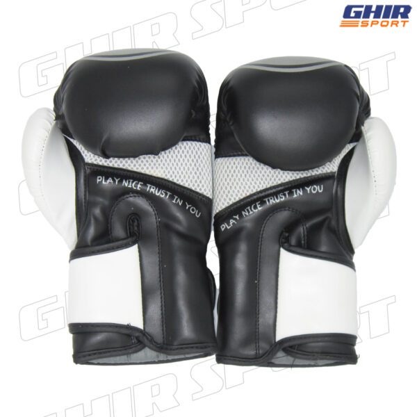 GANTS DE BOXE PETRA PGB-110 – Image 6