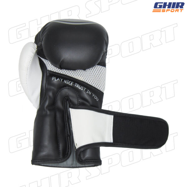 GANTS DE BOXE PETRA PGB-110 – Image 3