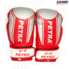 GANTS DE BOXE PETRA PGB-110 – Image 10