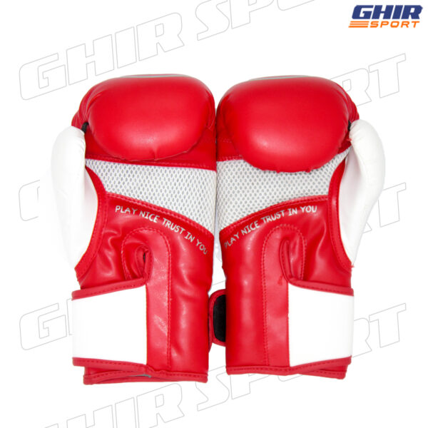 GANTS DE BOXE PETRA PGB-110 – Image 9