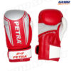 GANTS DE BOXE PETRA PGB-110 – Image 2
