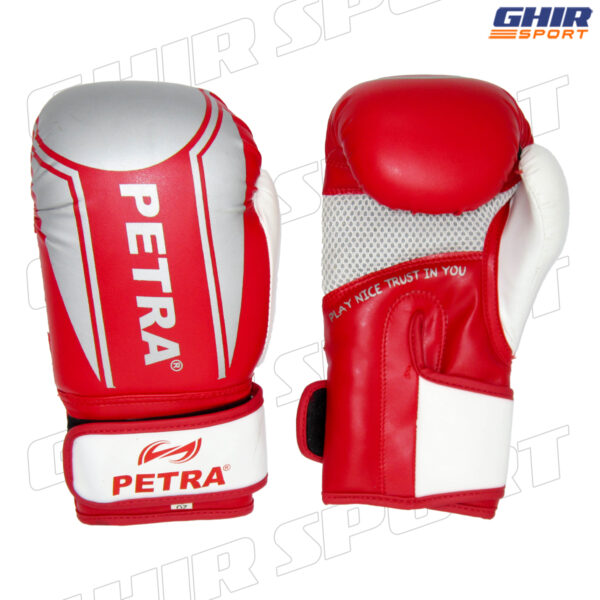 GANTS DE BOXE PETRA PGB-110 – Image 2
