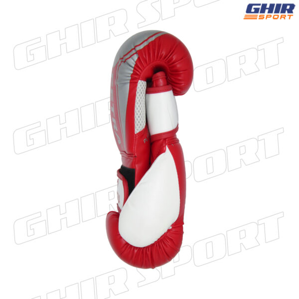GANTS DE BOXE PETRA PGB-110 – Image 5