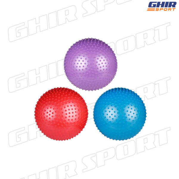 BALLON DE GYM MASSAGE FLOTT