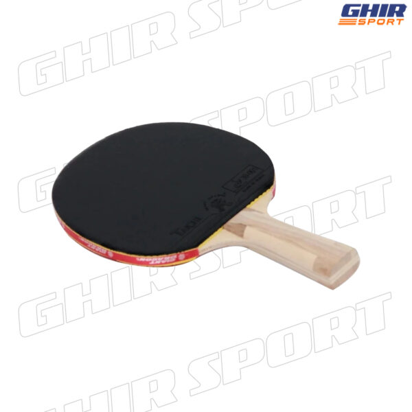  RAQUETTE PING-PONG GIANT DRAGON TAICHI P40+ – Image 3