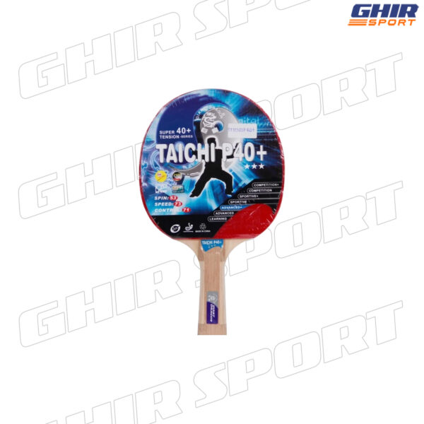  RAQUETTE PING-PONG GIANT DRAGON TAICHI P40+