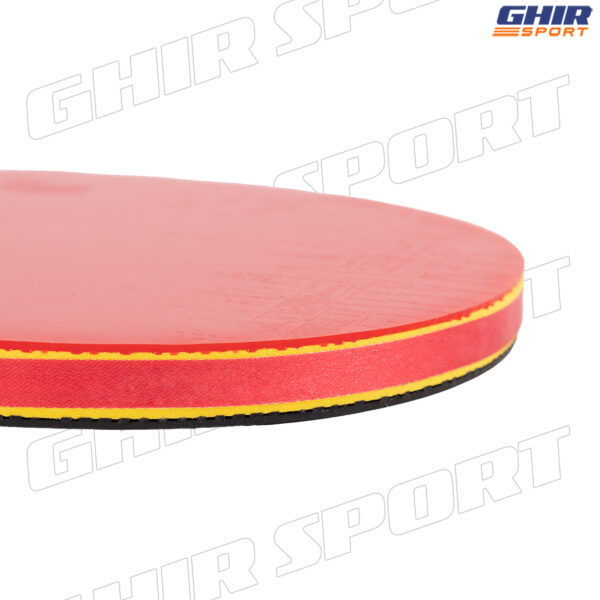  RAQUETTE PING-PONG GIANT DRAGON TAICHI P40+ – Image 4