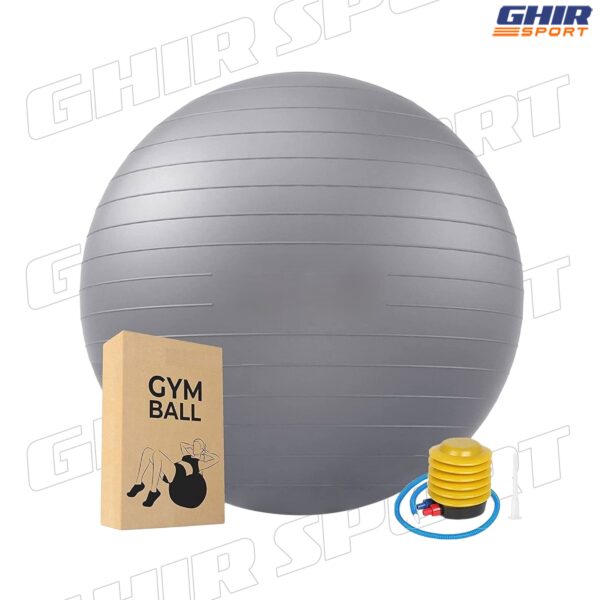 BALLON DE DE GYM LIFETOP 75/85 cm