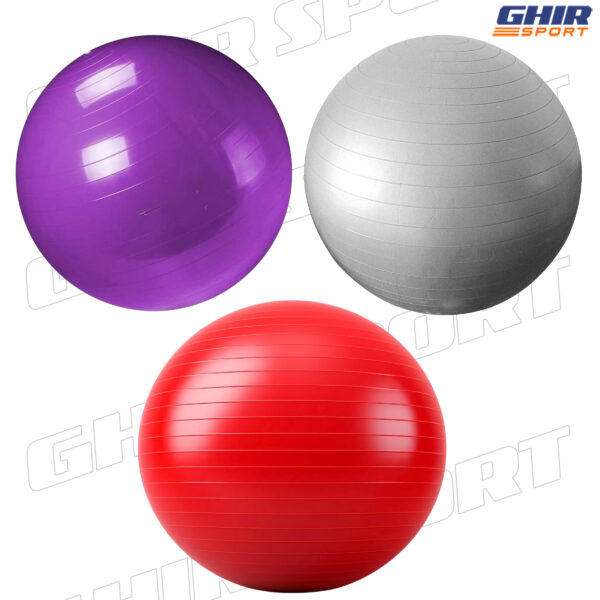 BALLON DE DE GYM LIFETOP 75/85 cm – Image 2
