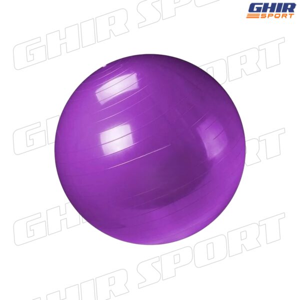 BALLON DE DE GYM LIFETOP 75/85 cm – Image 3