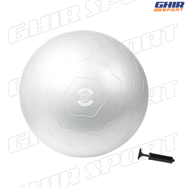 BALLON DE DE GYM SPORT KAYTAN 65CM