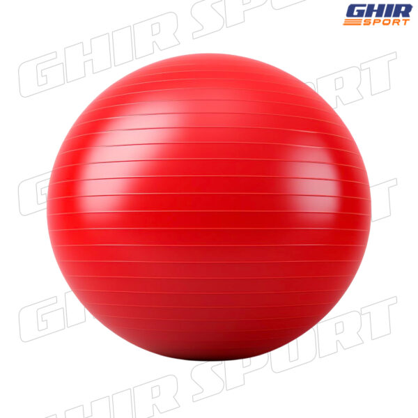 BALLON DE DE GYM LIFETOP 75/85 cm – Image 4