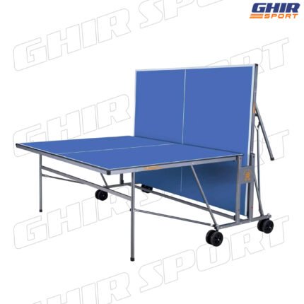 Table de tennis Giant Dragon Power 8017