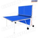  Table de Tennis Giant Dragon Power 8013